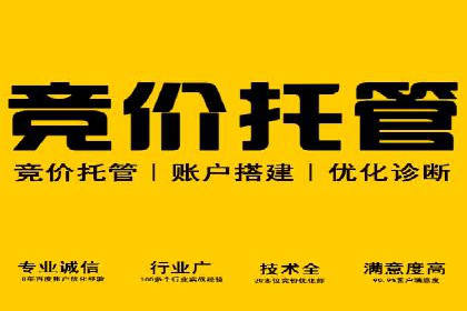竞价排名的投放策略与效果评估案例
